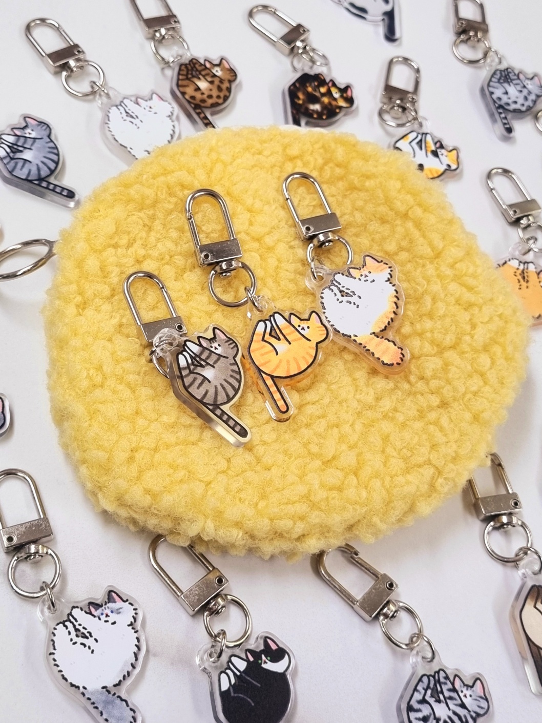 브랜드 라인업업 이미지